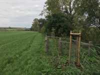 Němčice nad Hanou – Obnova porostu biokoridoru 